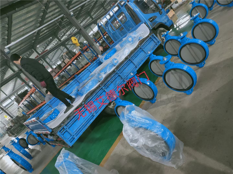 光杆四氟中线蝶阀(图1)